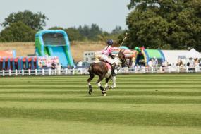 Thousands &lsquo;come from near and far&rsquo; to see equestrian prowess at Berkshire festival