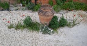 Couple left out of pocket as sewage spill ‘ruins’ garden