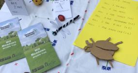 Ways to discover joy of nature this summer