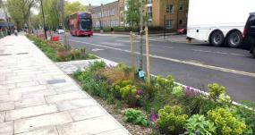 As nature evolves, we can help wildlife to thrive