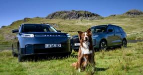 Climate function to keep your dog cool in car