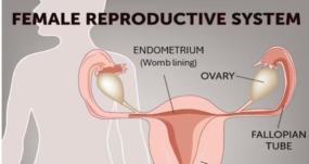 Listen to your body and get help if needed