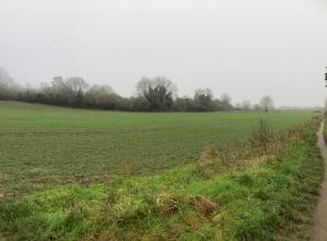 Greenbelt consultation