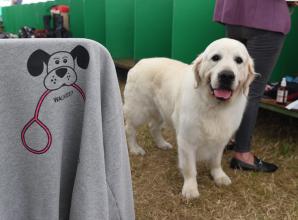Pawsome pageantry unleashed at the Royal Windsor Dog Show