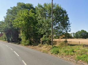 ‘Irreplaceable’ English Oaks survive new homes bid by historic countryside village