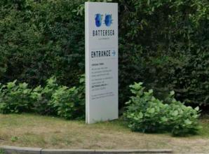 Battersea Old Windsor appeals for more foster carers