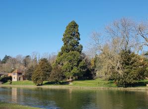 Caversham best place to live