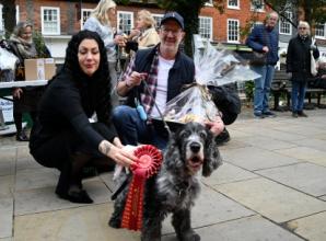 Spooky spaniel shines on catwalk