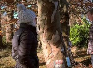 ‘Graduate licence could reduce road deaths’