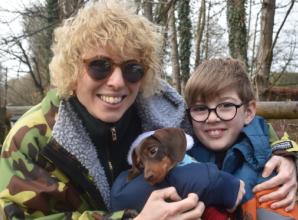 Festive walk for sausage dogs in ancient woodland