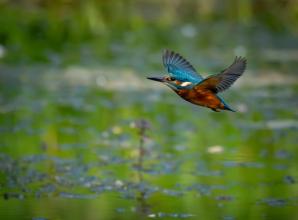 Photographer who searches for &lsquo;eye to eye&rsquo; moments