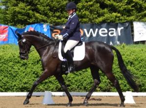 Dressage winners will soon be flying the flag