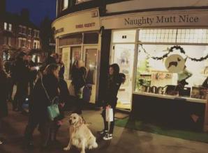 Halloween trick or treat for your dressed-up dogs