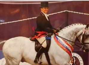 Retired racehorse is enjoying whole new lease of life as a show horse