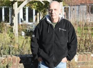 I was invaded by hunt dogs