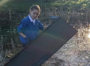 Students clear pond in school grounds to help wildlife