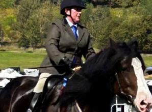 Harry the horse is champion just months after surgery