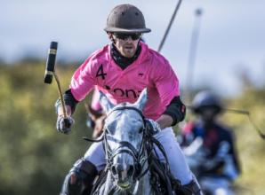 I make sculptures out of scrapped horseshoes, says polo horse trainer