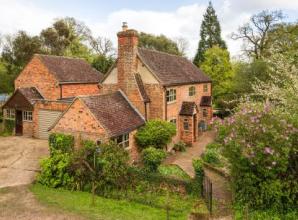 Plantsman’s paradise where vibrant memories are made