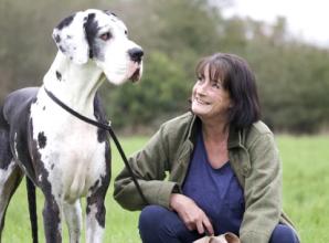 Woman takes lead with book to help dogs (and owners)