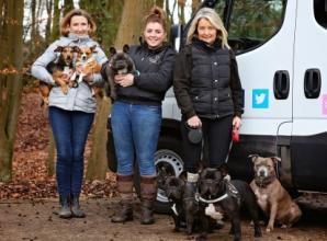 Whether it is walking your dog or pet travel, we're the real deal