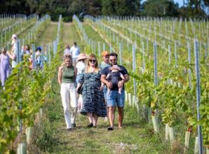 Stonor Valley Wine Farm 2708