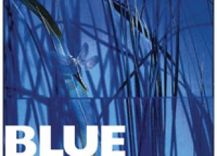 Get 30 per cent off at Blue River Cafe