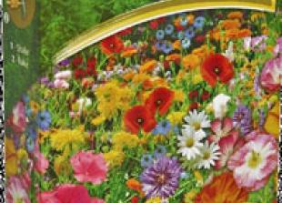 Free wild flower seeds worth &pound;2.99