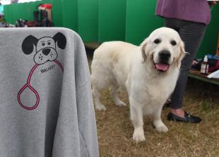 Pawsome pageantry unleashed at the Royal Windsor Dog Show
