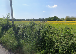 Hurst 99 homes plan thrown out for 'cumulative harms' to village, inspector rules