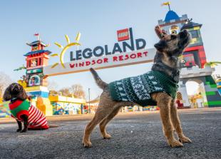 Em-bark on festive fun: Legoland unleashes first ever dog-friendly days