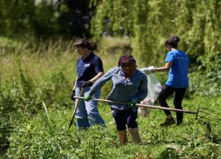 Major restoration and improvement works underway at Godolphin Park