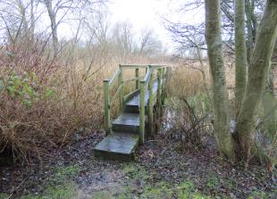 Nature reserve launches appeal to replace pathways