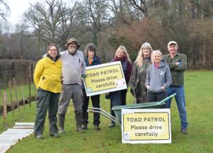 Henley Toad Patrol
