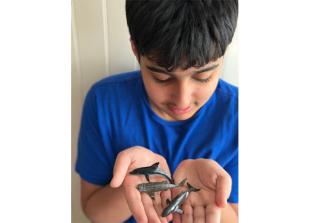 Windsor school pupil to take on sponsored walk raising funds to protect whales and dolphins