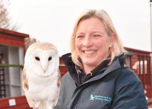 Evicted Feathers and Fur Falconry Centre finds new home