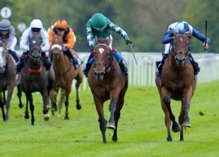 False start chaos at Windsor Races sees five jockeys banned