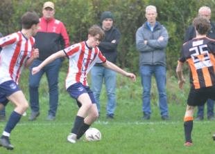 Hotspurs hit back with five-star performance