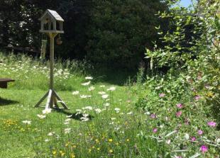 Look after plants and they will look after you