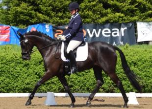 Dressage winners will soon be flying the flag
