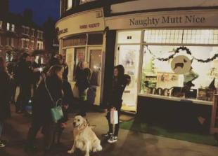 Halloween trick or treat for your dressed-up dogs