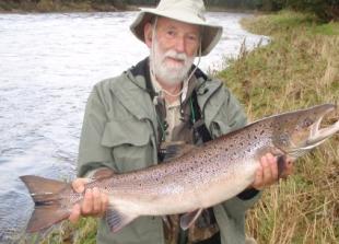 Thames eels may become extinct says angling author