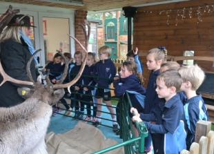 Pupils learn all about reindeer