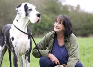 Woman takes lead with book to help dogs (and owners)