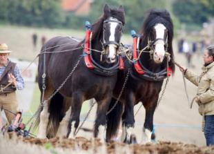 Sticky conditions made ploughing tough going