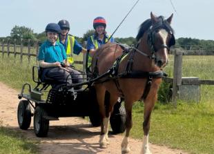 Woman honoured for fight to keep carriage riding