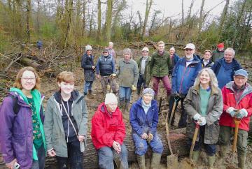Caversham volunteers plant new trees to regenerate wood