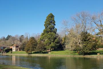 Caversham best place to live