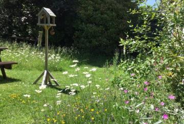 Look after plants and they will look after you