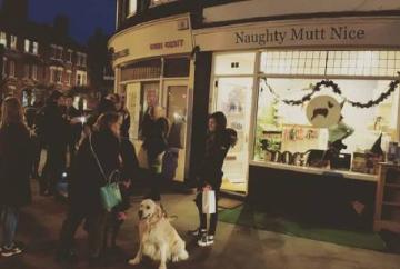 Halloween trick or treat for your dressed-up dogs
